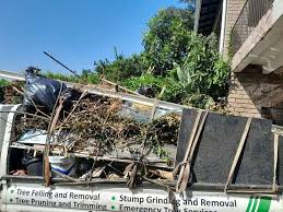 Best Carpet Removal and Disposal  in Vestavia Hills, AL